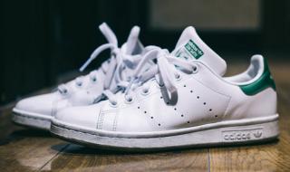 三叶草和阿迪达斯 三叶草和阿迪达斯