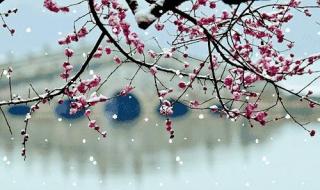 适合聊天背景的壁纸 适合聊天背景的壁纸