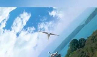 向云端原唱 向云端原唱