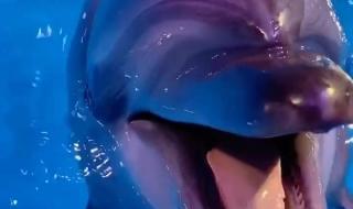 我的世界多人服务器 我的世界多人服务器